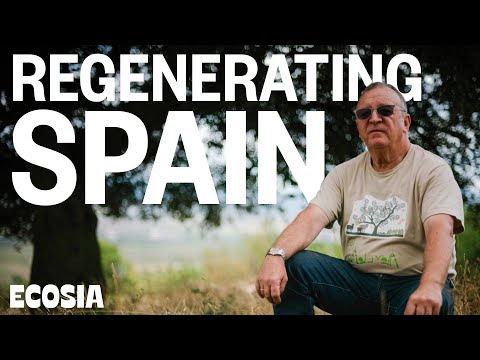 Why this retired farmer plants trees | Regenerative Agriculture in Spain