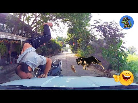 TRY NOT TO LAUGH!!! 🤣🤣🤣 #89