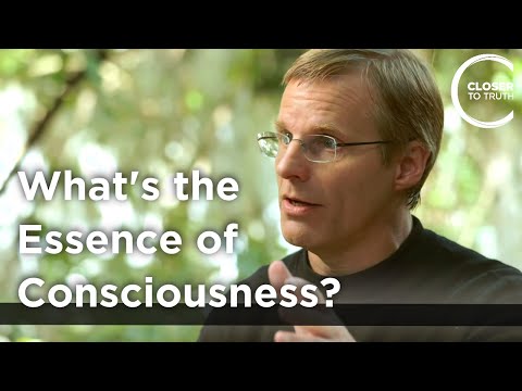 Giulio Tononi - What's the Essence of Consciousness?