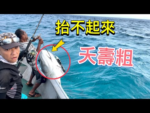 40公斤GT夭壽粗！船長抬不起來，快來幫忙！印尼釣魚(終) Popping&Jigging in Indonesia Isolated Island！#赫馬士  #釣魚  #fishing