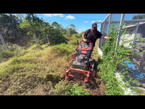 What I FOUND Explains WHY Even MONEY Couldn’t Convince a Crew to Clean This Yard