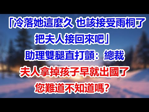 「冷落她這麼久,她也該接受雨桐了,把夫人接回來吧」助理雙腿直打顫:總裁,夫人拿掉孩子早就出國了,您難道不知道嗎?#為人處世#生活經驗#情感故事#故事#小說#戀愛#情感#婚姻