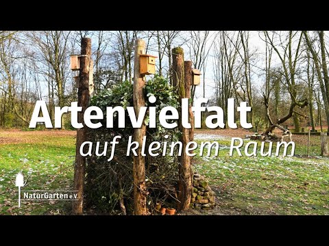 Biodiversitätssäule – viel Leben auf kleiner Fläche | Projekte im Naturgarten