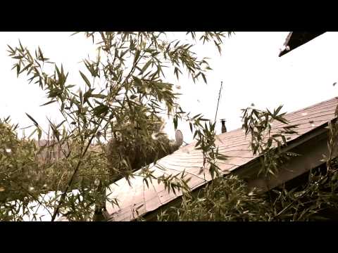 Joy Division -The Eternal