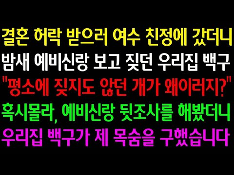 (실화사연)결혼허락 받으러 친정에 갔더니 예비신랑 보고 짖던 우리집 백구＂평소에 짖지도 않던 제가 왜이러지＂혹시몰라 예비신랑 뒷조사를 해봤더니 우리집 백구가 제 목숨을 구했습