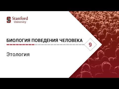 Биология поведения человека: Лекция #9. Этология [Роберт Сапольски, 2010. Стэнфорд]