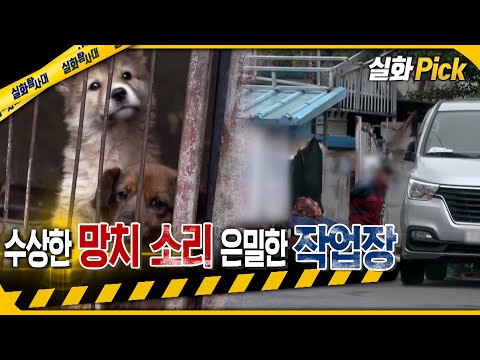 [실화Pick] 수상한 망치소리 은밀한 작업장 #실화탐사대 #실화On MBC210605방송
