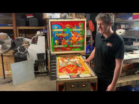 E. M. Pinball Repair - Bally Amigo