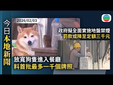 今日新聞重點:放寬狗隻進入餐廳 料首批最多一千個牌照 市民冀食肆做好分隔|政府擬全面實施地盤禁煙 罰款或降至定額三千元|香港新聞|無綫新聞|TVB News|2026/02/03