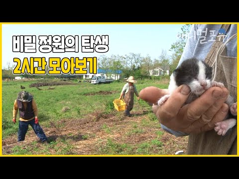 물도 전기도 없었던 깊은 숲 속으로 들어와 순남 씨가 탄생시킨 지상낙원🌿 | 순남 씨의 비밀 정원 | KBS 인간극장 2013 방송