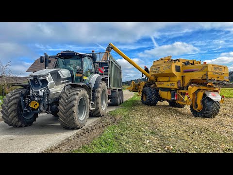 THREE-WHEEL COMBINE on the 2024 corn harvest! 150+ t/ha. Farm in Switzerland