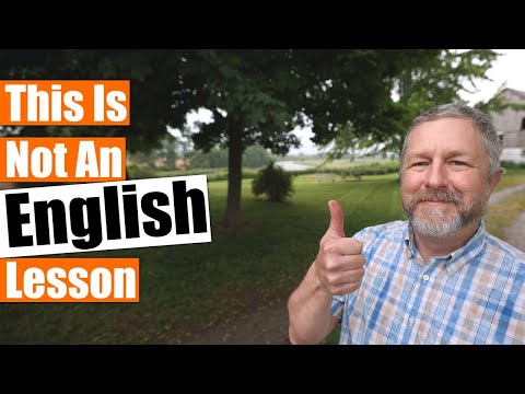 This Is Not An English Lesson - Bob's Summer Update