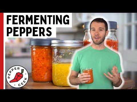 Let's Ferment Peppers! The Perfect Base for Delicious Hot Sauce - Pepper Geek