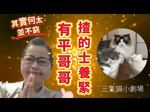 何太有平哥哥每月俾錢洗 並不窮！無糧軍師回港提供資料！Mac lo爆何太私密錄音有金主？|三隻貓配音模仿小劇場：三隻貓好眼瞓呀！