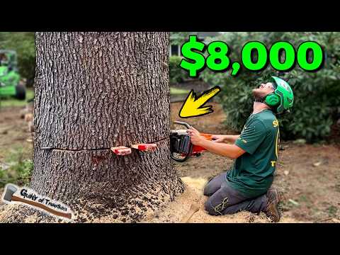 BIG $8,000 Tree Job! MASSIVE Blue Atlas Cedar Removal!