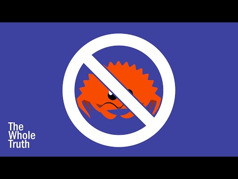 10 Reasons Not To Use Rust (The Whole Truth)