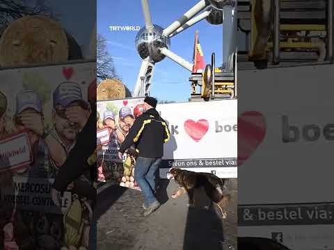 Belgian farmers block Brussels roads in protest of EU-Mercosur trade deal