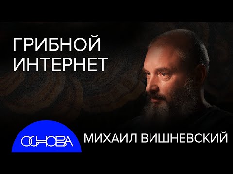 МИКОЛОГ ВИШНЕВСКИЙ: ГРИБНОЙ РАЗУМ, ГРИБЫ-УБИЙЦЫ, THE LAST of US. ЛЕНИН - ГРИБ?
