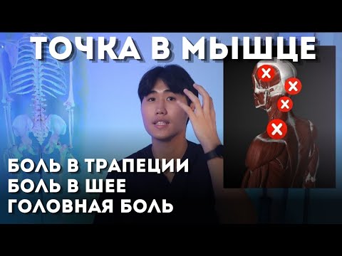 Эта точка избавит тебя от боли в трапеции, шее и голове / Разминай каждый день