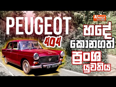 හදේ කොන ගත් ප්‍රංශ යුවතිය | Peugeot 404 කතාව | Wheels Traveller