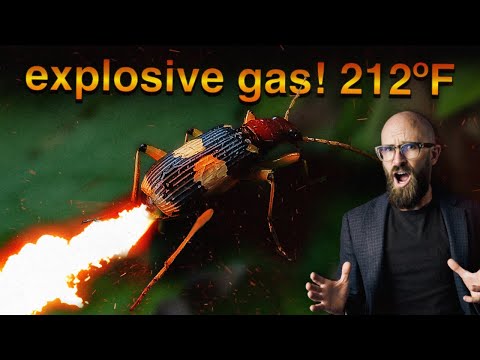 The Incredible Flame Thrower Packing Insect