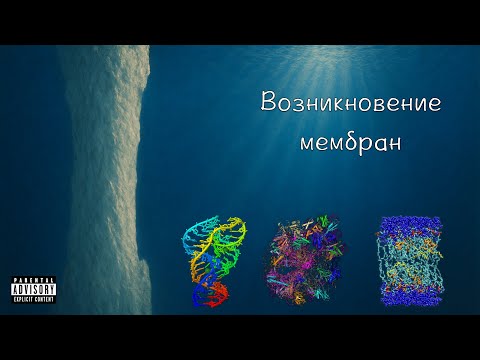 Происхождение жизни. Часть 3. Как первородная грязь научилась делать стены и энергию