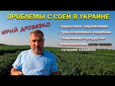 Выращивание сои в Украине с Юрий Дробязко. Кооператив фермеров United Farmers, сортоиспытания сои