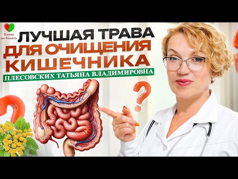 ТРАВА для ОЧИЩЕНИЯ КИШЕЧНИКА и НЕ ТОЛЬКО! - ПИЖМА ЗОЛОТАЯ - ЗОЛОТО ДЛЯ ЗДОЛРОВЬЯ! -  ПЛЕСОВСКИХ Т.В.