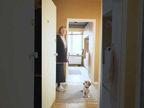 Dieser Einrichtungs-Mythos ist FALSCH! 🤫