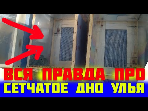Сетчатое дно улья за и против. Плюса и минуса ульев из сетчатыми доньями