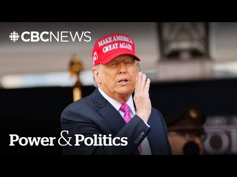 Is the Epstein files controversy dividing Trump’s MAGA movement? | Power & Politics