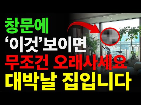 창문으로 '이것' 보이는 집은 큰 번영이 생길 집입니다. 이런 집은 전세이든 월세이든 무조건 오래 사셔야 합니다. l 재물운 풍수 풍수인테리어 명당