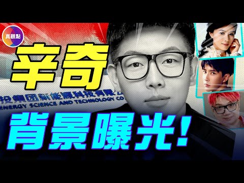 辛奇不是蔡奇私生子？！田海蓉程青松互咬，26年閨蜜情藏線索！揭秘幾位嫌疑最大的涉事方關係網！#真飛 #真觀點