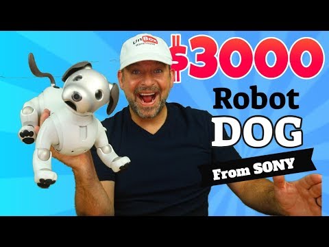 Sony Aibo a $3000 Robot Dog. Comprehensive Review.