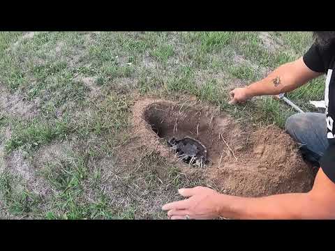 Trapping Basics: Step Down Dirt Hole Sets