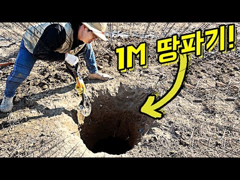 1M 땅 속에는 어떤 생물이?