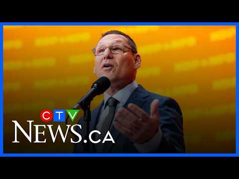 NDP ‘worried’ Avi Lewis won’t be able to win seats in House of Commons: Mulcair