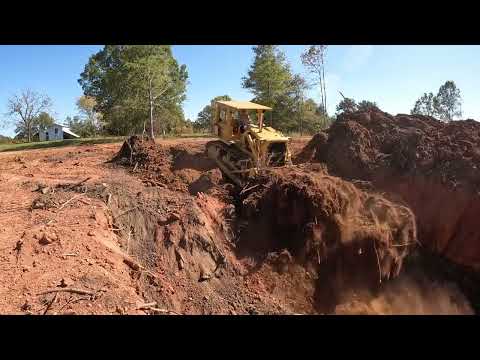 The Fat CAT Comes Out To Play!!