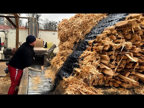 Extreme Sawmill Action – Mountains of Woodchips in Motion.