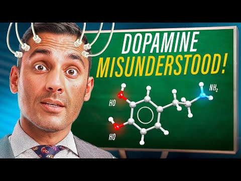 Everyone Talks About Dopamine. Almost Everyone Gets It Wrong.