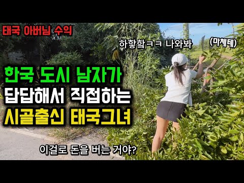 "오빠는 힘이 없어요ㅋㅋ" 답답하다고 직접하는 태국그녀.. 순수익 100%ㅋㅋ 아버님을 따라가 보았습니다 🇰🇷🇹🇭