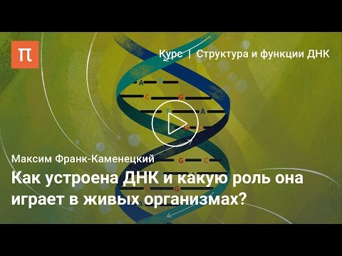 Каноническая структура ДНК — Максим Франк-Каменецкий