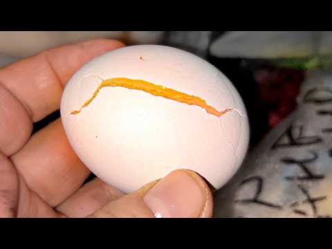 Life has taught me! Tips and tricks from smart women.