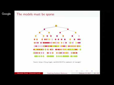 Interpretable Models of Antibiotic Resistance with the Set Covering Machine Algorithm