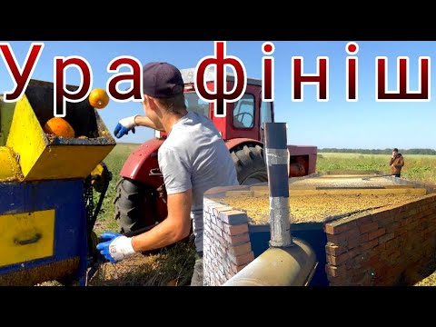 ЯКИЙ Ж РЕЗУЛЬТАТ ГАРБУЗА🎃?2023 Т40 підвів мене😡Ого скільки втрат🫢ВИРОЩУВАННЯ ГАРБУЗА! Усі нюанси