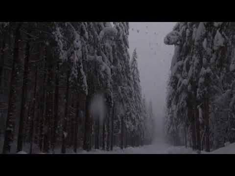 Beautiful Relaxing Heavy Snowfall 3 Hour / Calm Breeze and Falling Snowflakes (2/3)