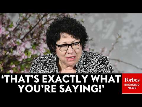 Sonia Sotomayor Nails Lawyer For 'Proposing A Theory That No Circuit Has Ever Accepted' In Argument
