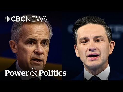 Liberals, Tories accuse each other of risking early election over budget vote | Power & Politics
