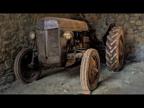 A SURVIVOR'S AWAKENING - 1948 Ferguson TEA 20