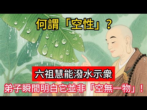 何謂「空性」？六祖慧能潑水示衆，弟子瞬間明白它並非「空無一物」！#佛學 #正能量 #菩提解脫道 #佛教文化 #佛教故事 #人生感悟
